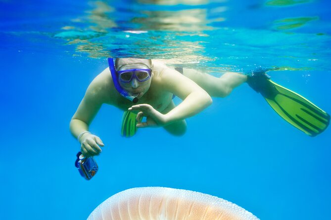 Snorkeling tour Makarska Riviera, islands of Hvar or Brač - What the feedback tells you