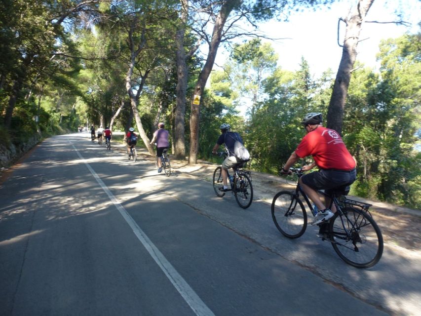 Split 3-Hour Guided Bike Tour - Who should book this ride?