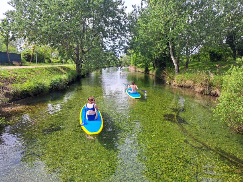 Split: Adriatic Sea and River Stand-Up Paddleboard Tour - Cliff jumping for an optional burst of fun