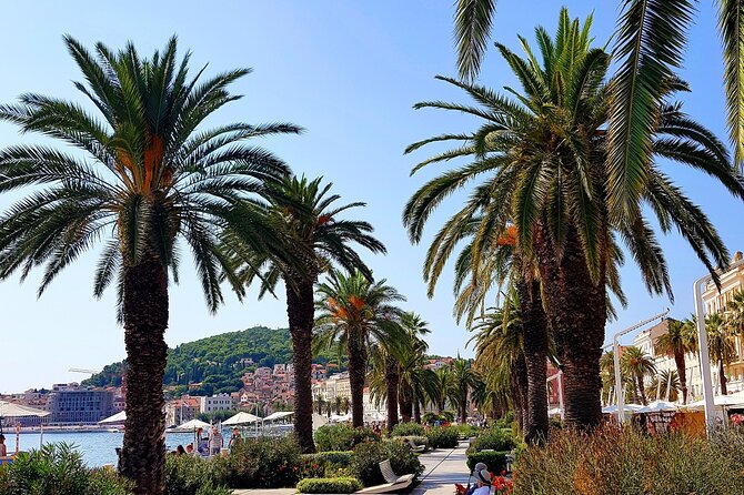 Split and Ston private tour or transfer - Should you book the Split and Ston private tour?
