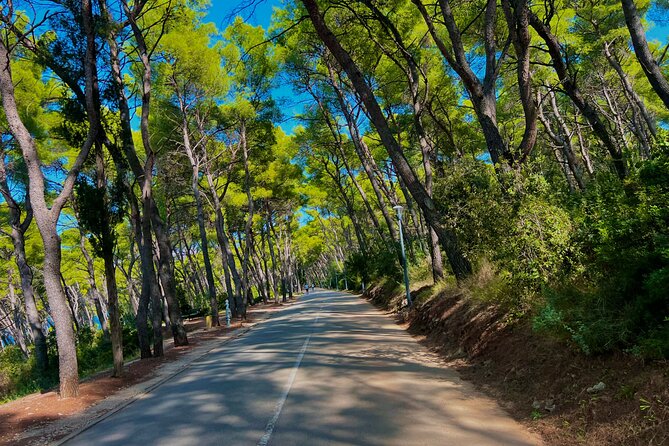 Split by Private Electric Rickshaw - Palace & Hidden Gems - Bene Beach and the included drink