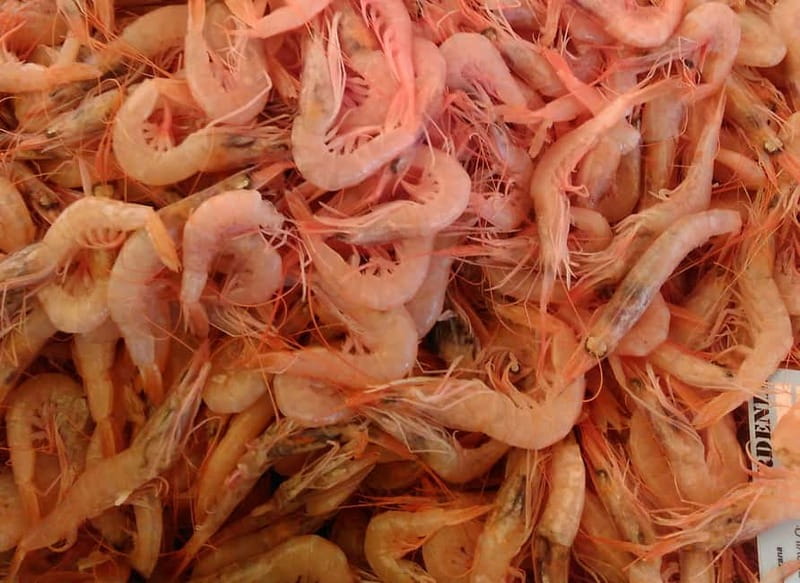 Split: Food Tasting Walking Tour - What the $51 price really covers