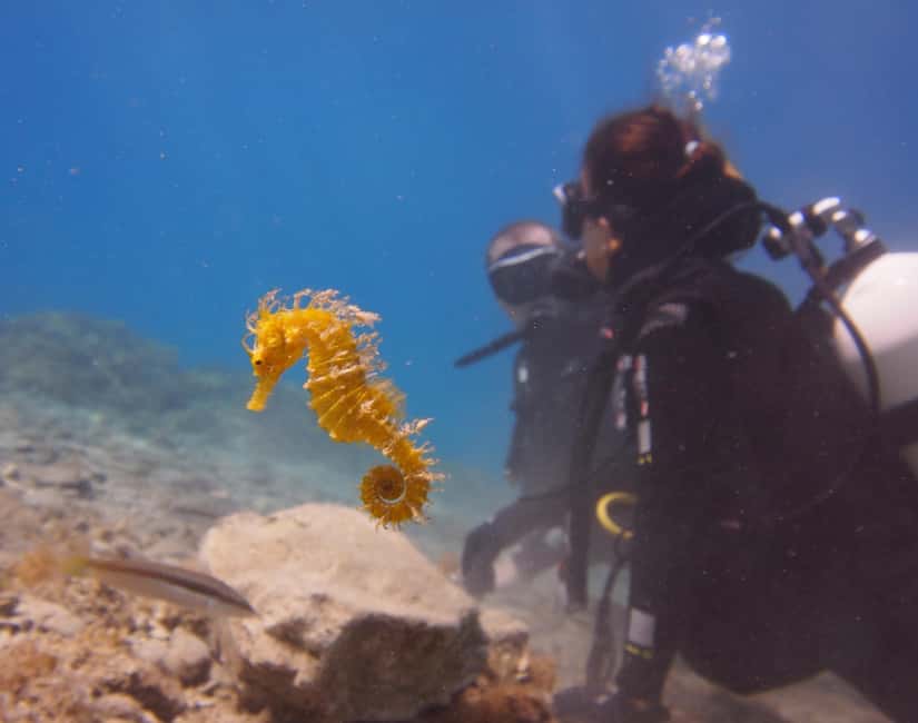 Split-Makarska-Brela Try SCUBA Dive - Why Brela is a practical place to try scuba