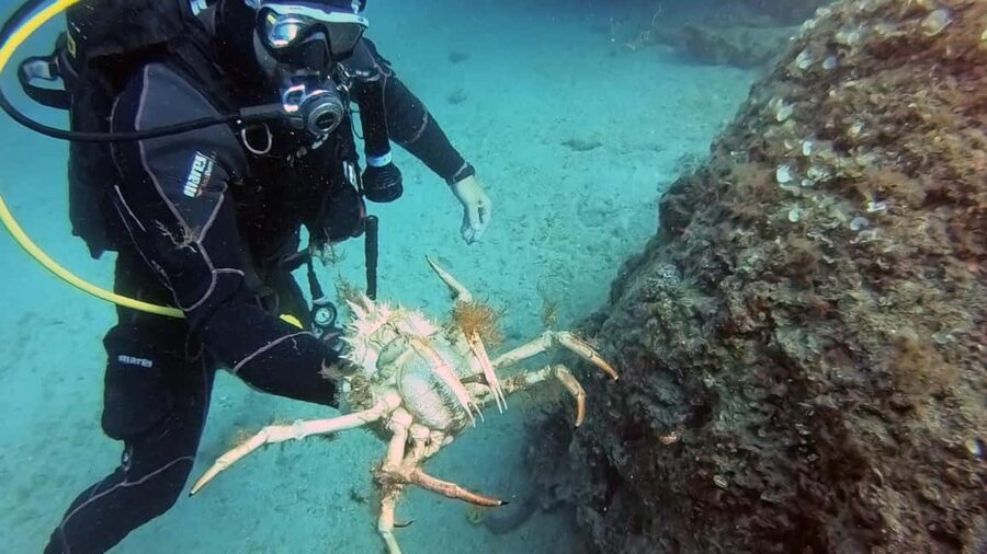 Split-Makarska-Brela Try SCUBA Dive - A good choice if you feel nervous