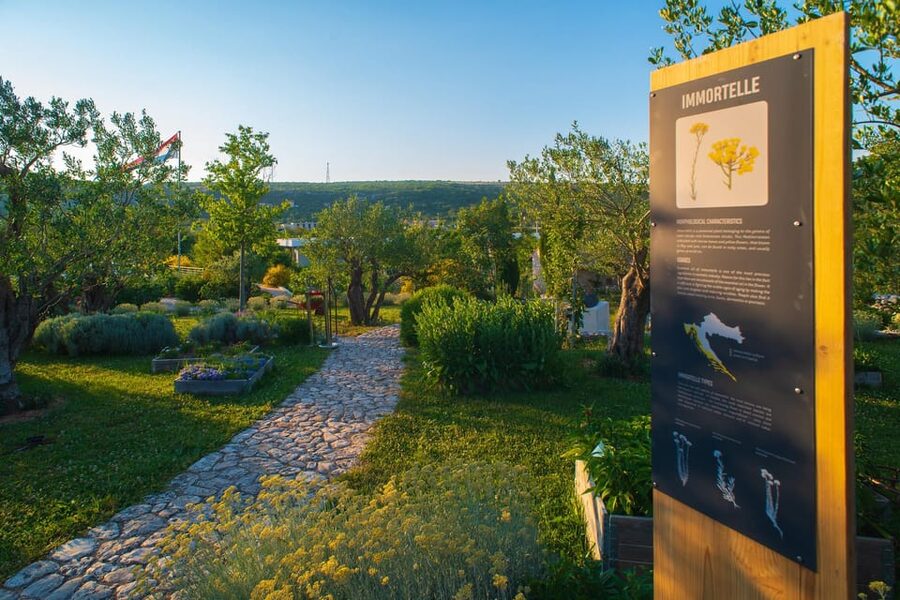 Split: Olive museum Klis with Olive Oil Tasting - What Stella Croatica offers near Klis