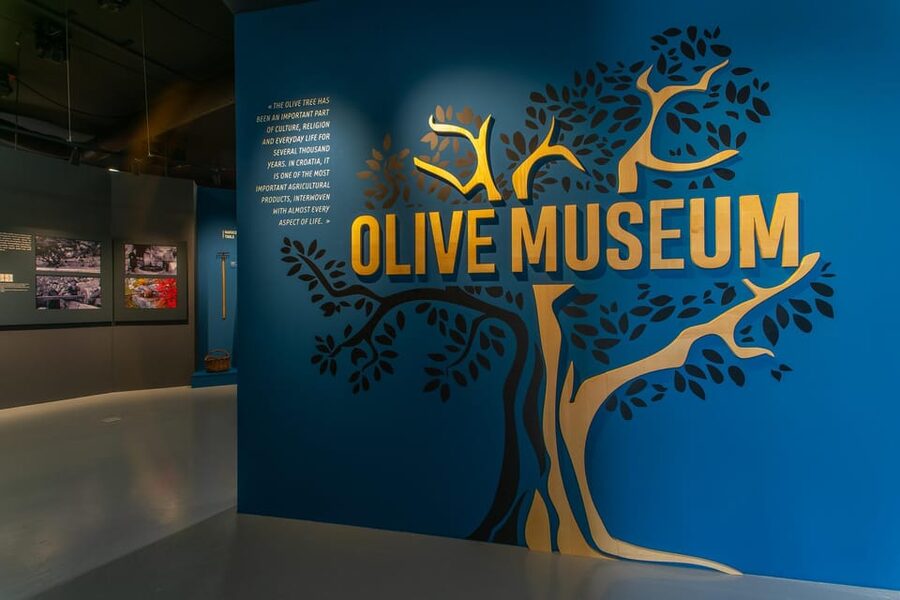 Split: Olive museum Klis with Olive Oil Tasting - What the tasting can and cannot teach you