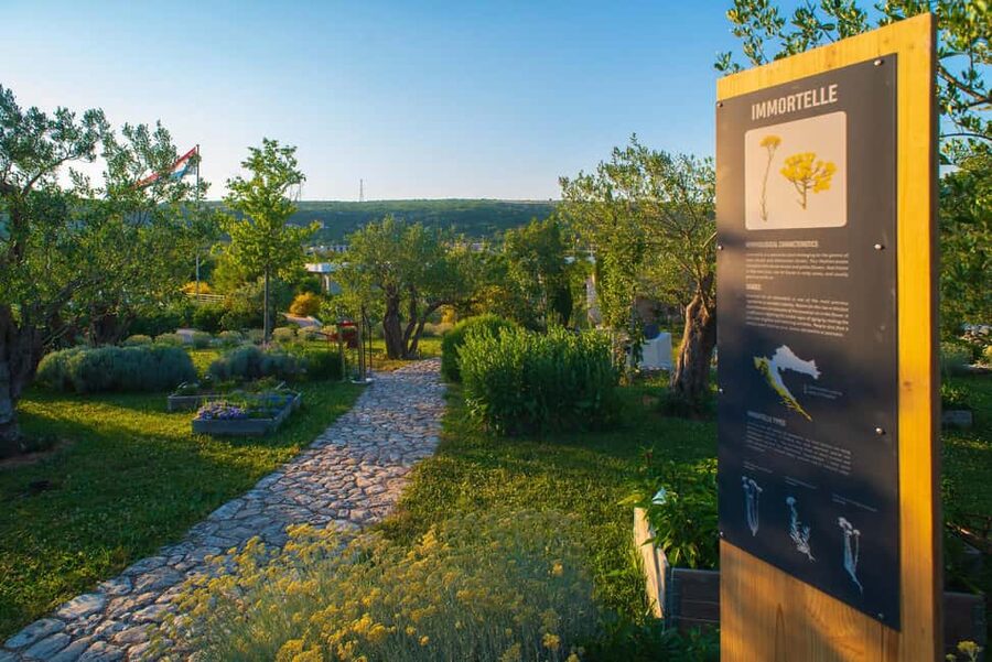 Split: Olive museum Klis with Olive Oil Tasting - Finding the meeting point at Stella Croatica