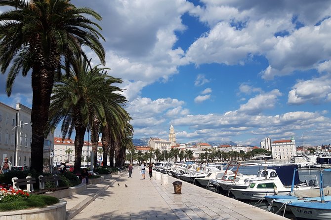SPLIT-PRIVATE Walking Tour of Diocletian's Palace & Old Town - Key points to know before booking