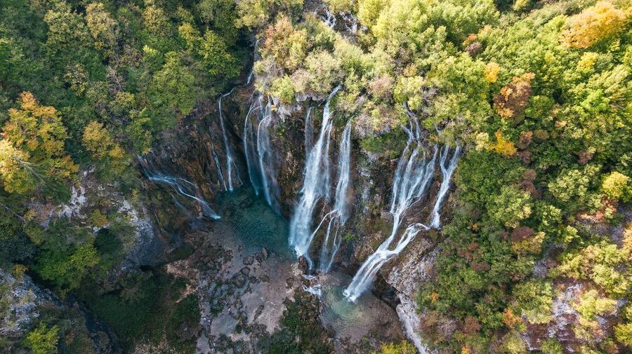 Split: Self-Guided Plitvice Lakes Day Tour with Boat Ride - The electric train through the forest