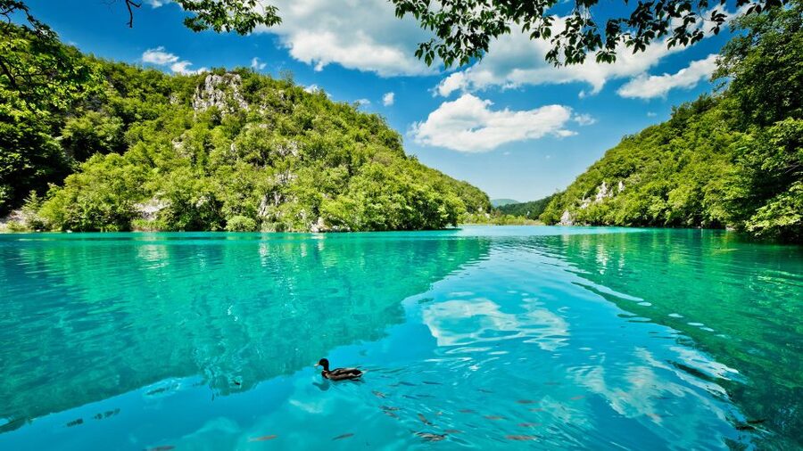 Split: Transfer to Zagreb with Plitvice Lakes Entry Tickets - Is $192 a fair price?
