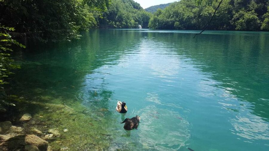 Split/Trogir to Zagreb: Private Transfer with Plitvice Lakes - Entering Plitvice Lakes National Park