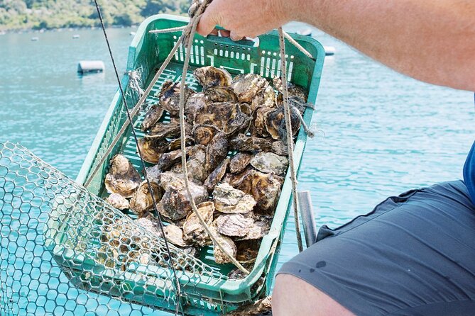 Ston Gastro Tour - Dino and the value of a small group
