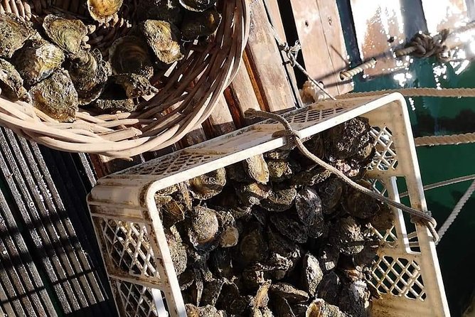 Ston Gastro Tour - Who should book the Ston Gastro Tour?
