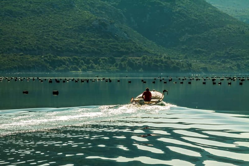 Ston Oyster & Wine Tasting Private Tour From Dubrovnik - Key points at a glance