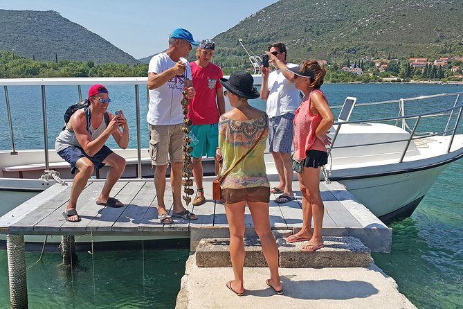 Ston Oysters & Wine Tasting Tour from Dubrovnik - Key points to know before booking