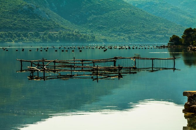 Ston Oysters & Wine Tasting Tour from Dubrovnik - Trsteno Arboretum and Game of Thrones locations