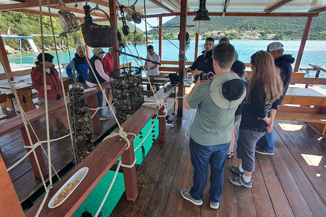 Ston Oysters & Wine Tasting Tour from Dubrovnik - What the private format adds