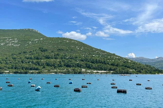 Ston Seafood & Pelješa Wine Boat Tour with Oysters and Mussels - What you get in Ston with 45 minutes