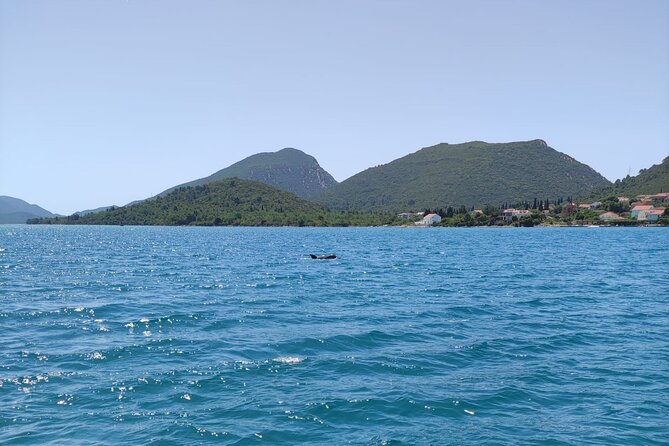 Ston Seafood & Pelješa Wine Boat Tour with Oysters and Mussels - Guides, comfort, and group size