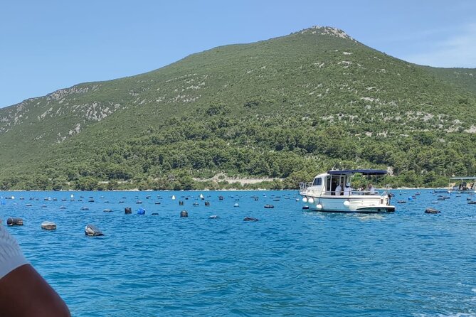 Ston Seafood & Pelješa Wine Boat Tour with Oysters and Mussels - Who should book this outing?