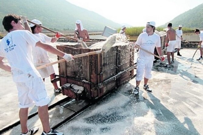 Ston Tour: City Walls, Saltworks, Wine & Adriatic Seafood - Miloš Winery brings Pelješac wine into the picture