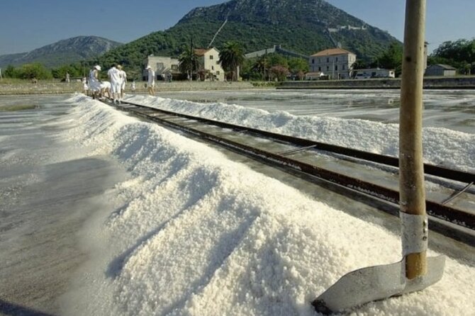 Ston Tour: City Walls, Saltworks, Wine & Adriatic Seafood - Fresh oysters are the most tempting optional extra