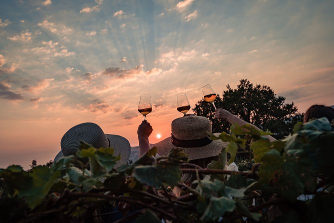 Sunset wine tasting in vineyard - Why the small group makes a difference