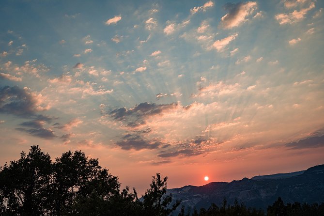 Sunset wine tasting in vineyard - Practical tips for making the most of it