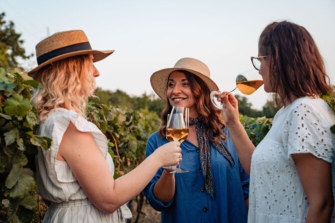 Sunset wine tasting in vineyard - Walking through the old forest and farm