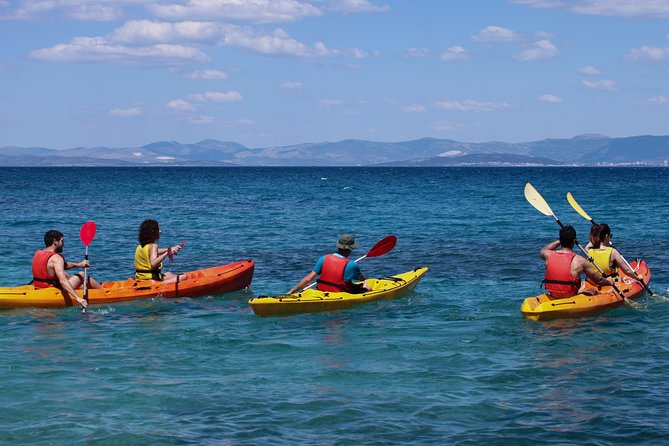 Supetar-Postira kayaking - Paddling past pine, olive groves, and dry-stone walls