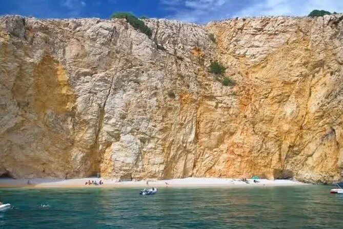 Swimming and Snorkeling on the Wild Bays 3.5 Hours (PUBLIC) - Key points to know before booking