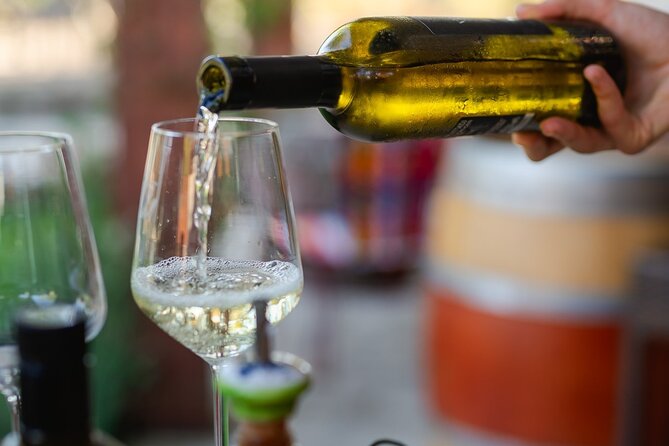 Taste of Istria - wine, brandy, vinegar, local food - Walking Through Vineyards and Lavender Fields