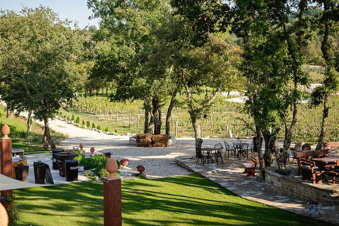 Taste of Istria - wine, brandy, vinegar, local food - What the Price of $52.41 Really Buys