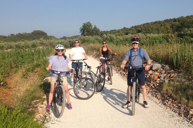 Taste of Korcula by Bike Tour | Korcula Wine & Food Tasting - Honey, bees, and Korcula’s fragrant countryside