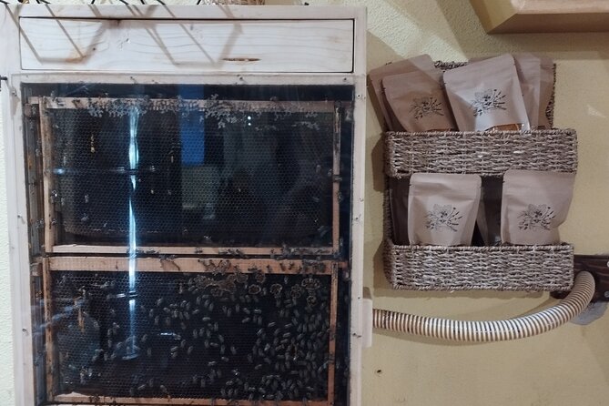 Taste of Korcula Tour | Korcula Wine & Food Tasting - Lumbarda and the character of Grk wine