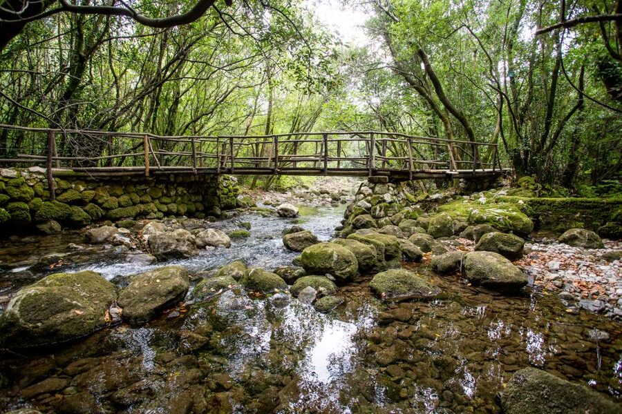 Taste & Tradition of Dubrovnik Countryside - The Ljuta River mill: the strongest stop for food and tradition