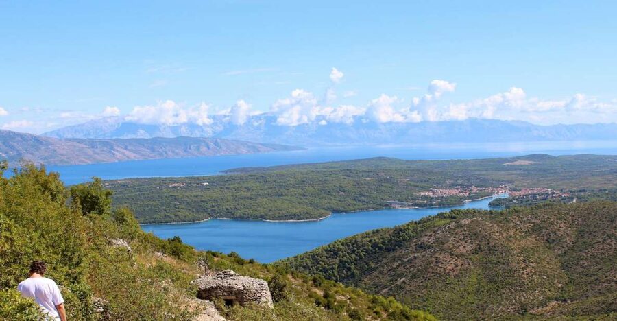 The Best of Hvar in a Day with Wine tasting and Local Dinner - Brusje and the seasonal lavender fields