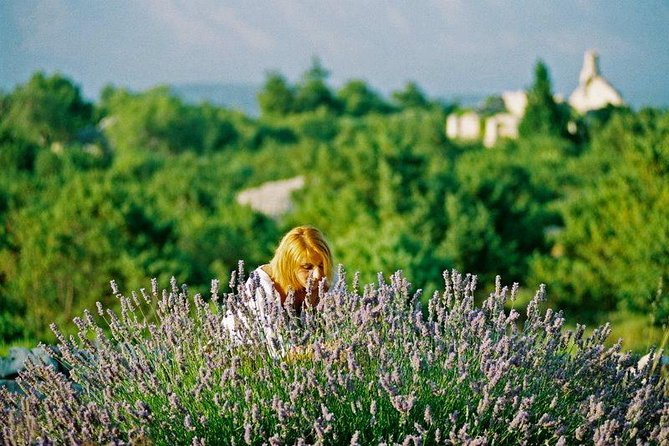 The Best of Hvar Small Group with Wine Tasting and Local meal - What the $337.15 price includes