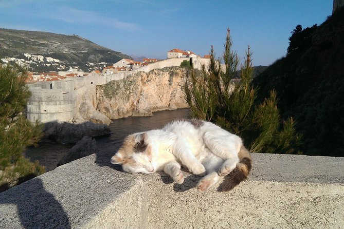 Tour The Game of Throne - Private Driving Tour - Why a private car makes sense in Dubrovnik