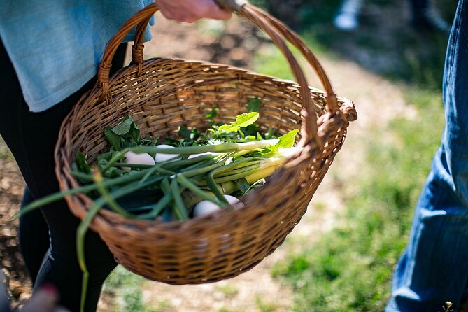 Traditional Cooking Class in Dubrovnik Countryside - The four-course meal is the real payoff