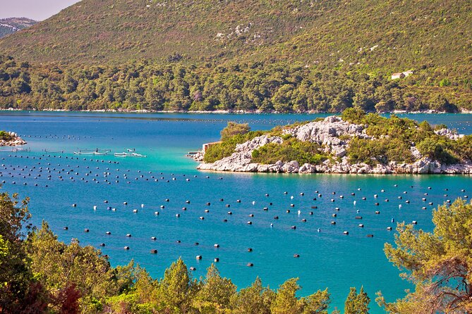 Transfer Dubrovnik to Split with Sightseeing in Ston Town - Ston town, one hour to get your bearings