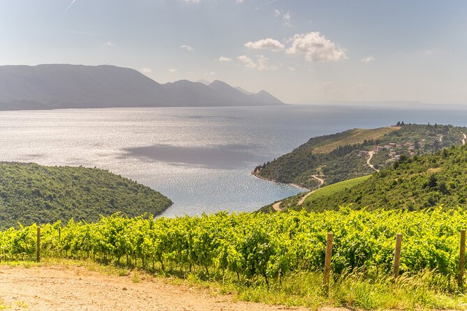 Transfer Dubrovnik to Split with Sightseeing in Ston Town - Price, timing, and the value question