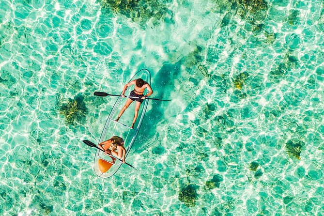 TRANSPARENT KAYAKING or SUP-ing AROUND ISLANDS - Choosing between transparent kayak, standard kayak, and SUP