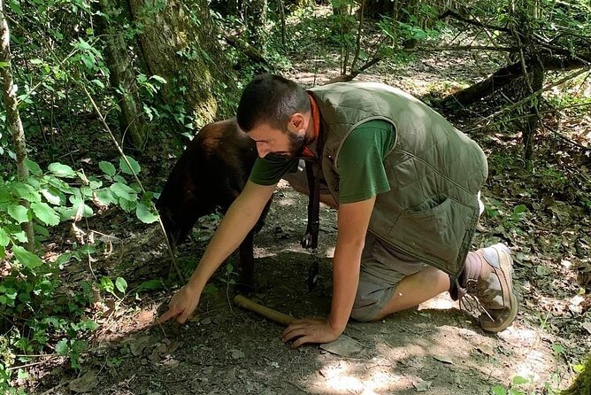 Truffle hunting adventure - Key points to know before you book