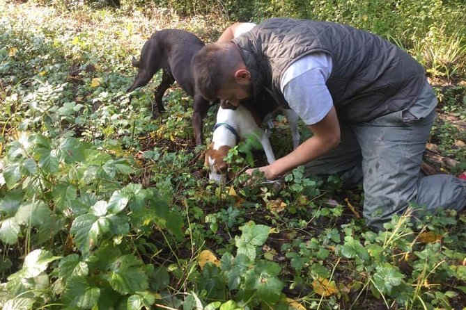 Truffle hunting adventure - Why truffle hunting fits Motovun so well