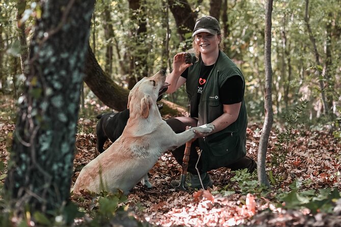 Truffle hunting & cooking tour - The Truffle Museum sets the scene