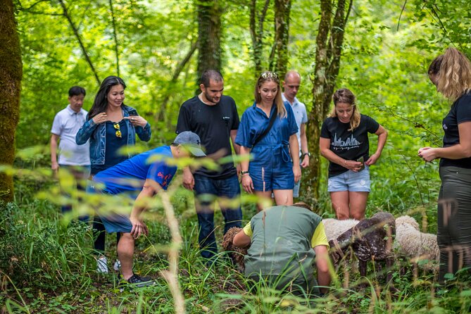 Truffle hunting & cooking tour - The hunt can produce several truffles or none