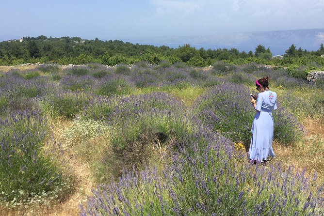 Tuk Tuk Sightseeing Tour of Hvar - Malo Grablje: an abandoned village with a human story