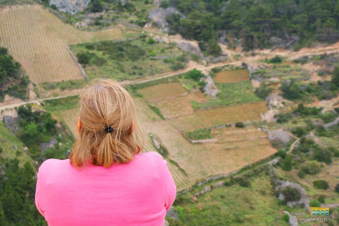 Twice the Wine - Two wineries half day tour, with delicacies - Is the $452.56 price worth it?