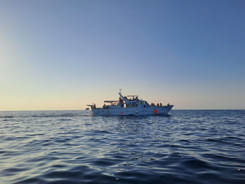 Umag: Sunset Cruise with Dolphin Spotting - Quick Take: What Makes This Cruise Worth Your Evening